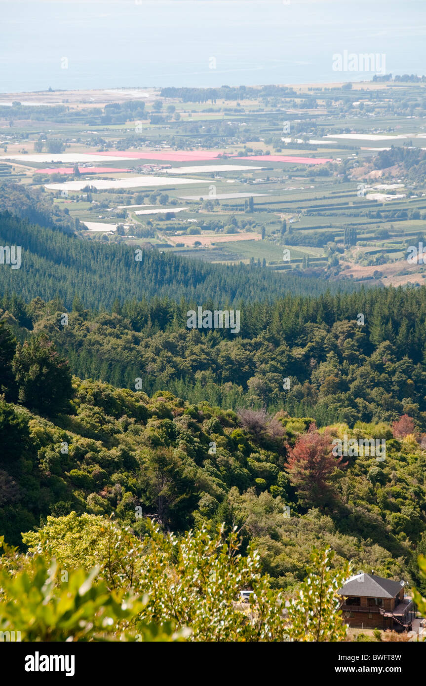 Tekaka Hill, riserva paesaggistica, viste di Motueka,Kahaurangi Parco Nazionale,Tasman Bay,Nord,Isola del Sud della Nuova Zelanda Foto Stock