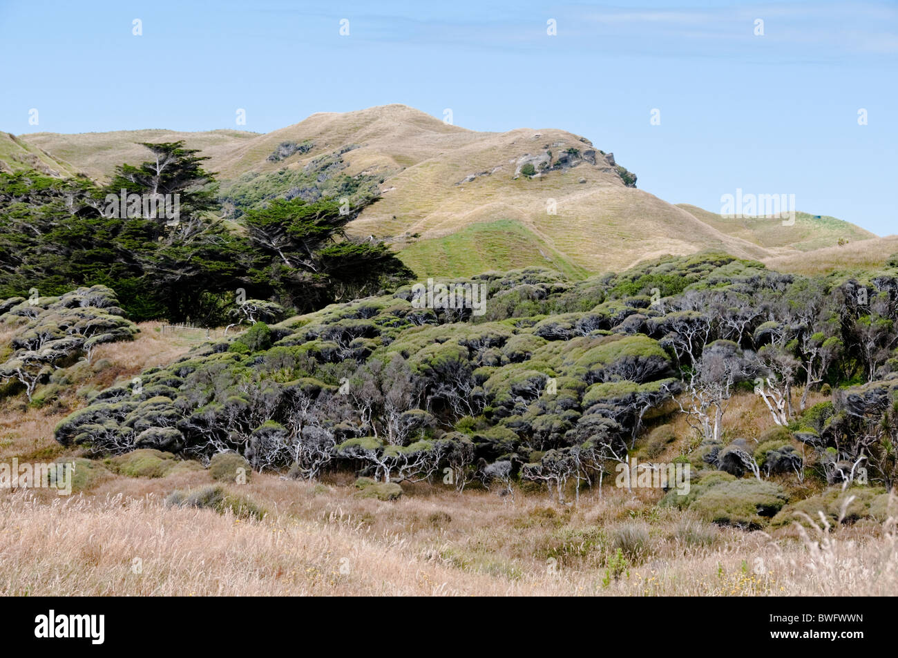 Farewell Spit,Golden Bay,Farewell Spit Riserva Naturale,Kahurangi National Park, Capo addio,Nord,Isola del Sud della Nuova Zelanda Foto Stock