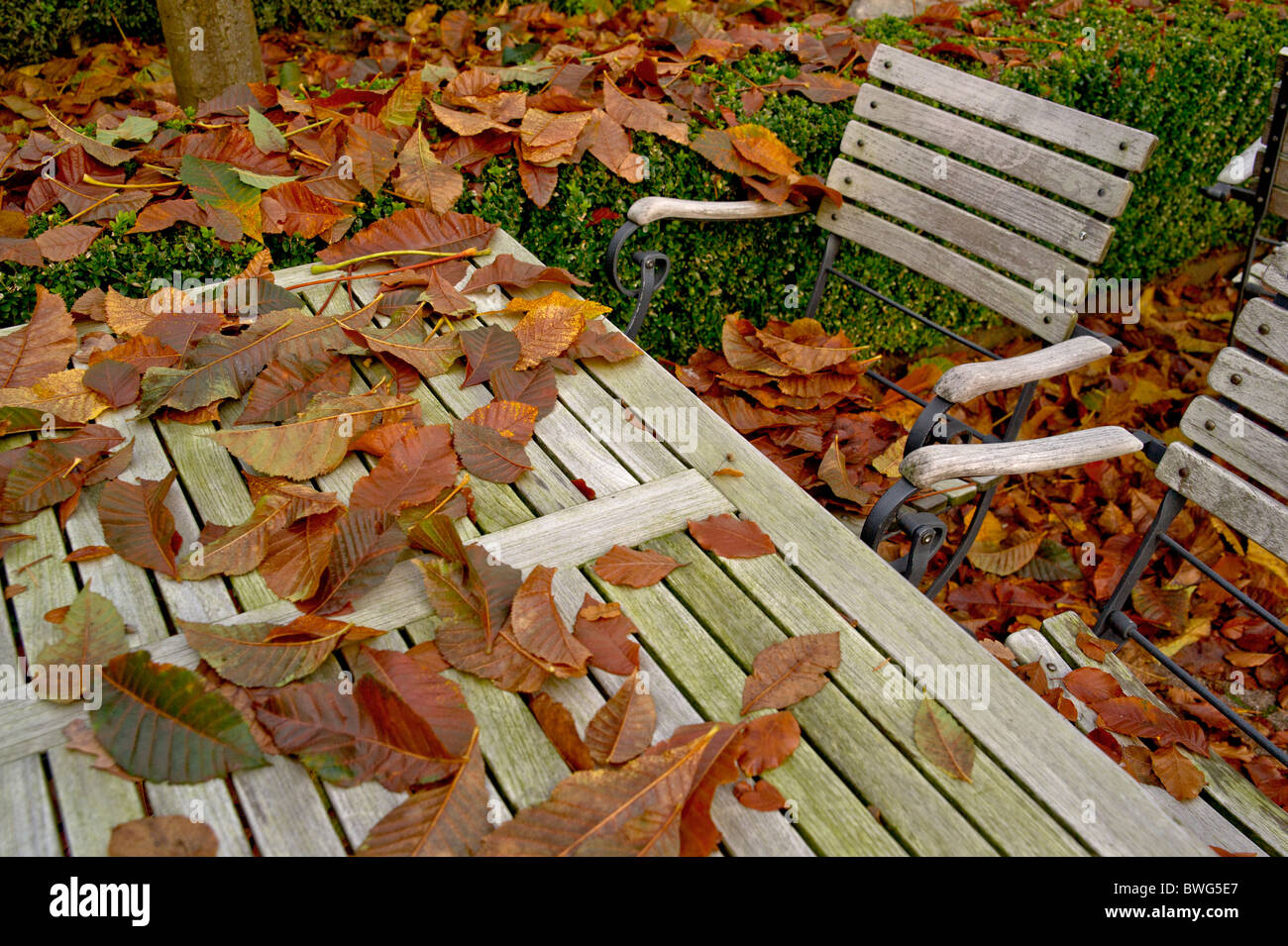 Tavolo e sedie in un giardino della birra, coperto con foglie; Tisch und Stühle in einem Biergarten, bedeckt mit Laub Foto Stock
