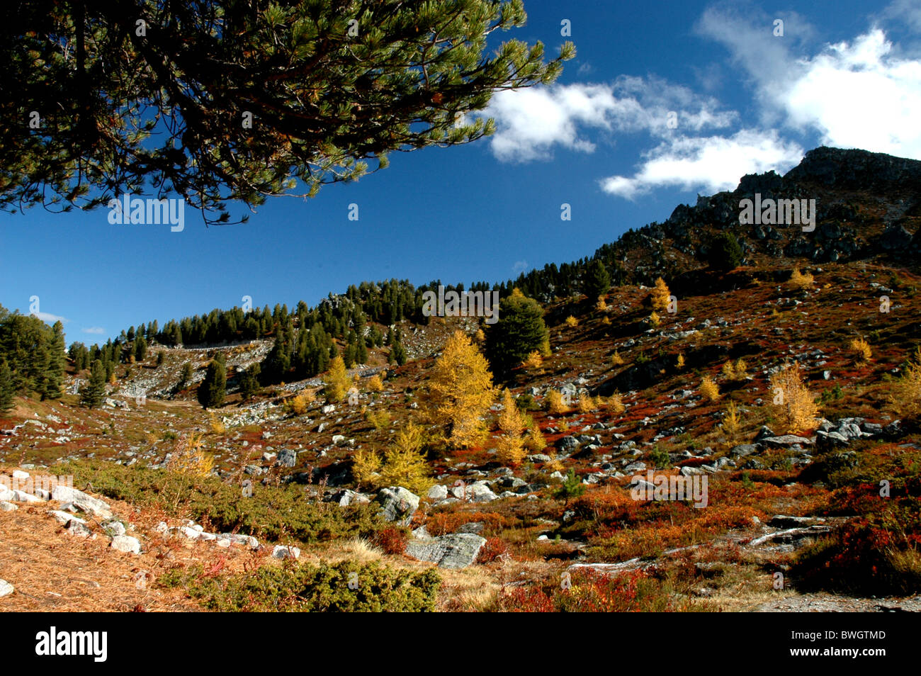 Dent de Nendaz, colori autunnali, Vallese. Svizzera Foto Stock