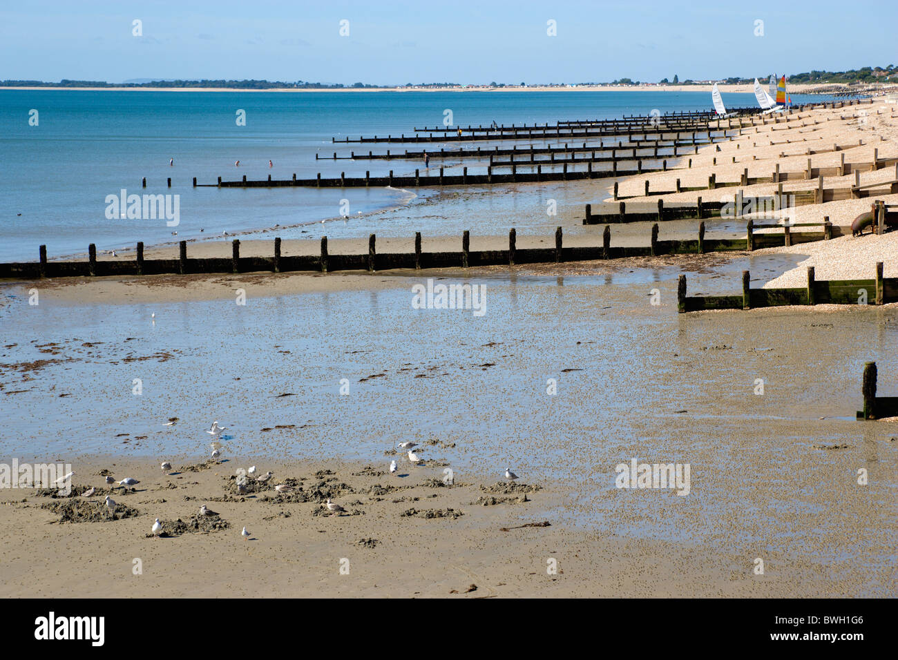 Inghilterra, West Sussex, Bognor Regis, pennelli di legno a bassa marea utilizzato come mare difese contro erosione della ghiaia spiaggia ghiaiosa. Foto Stock