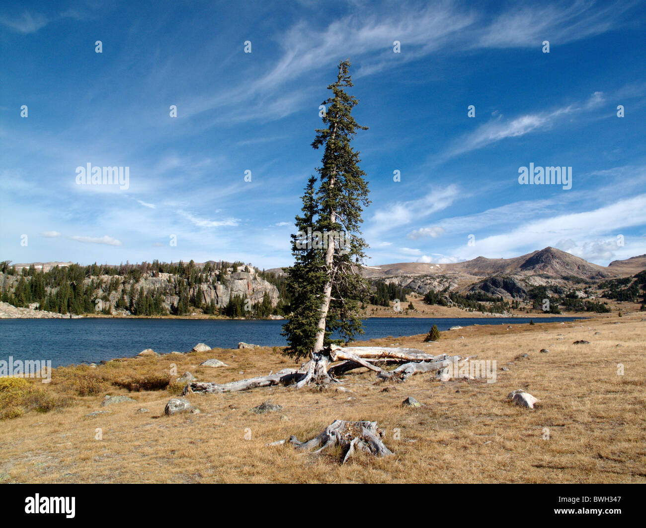 Un lago alla sommità della Beartooth Pass in Montana, Stati Uniti d'America Foto Stock