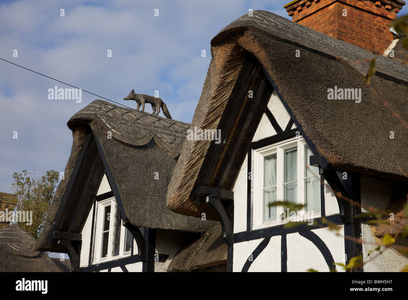 Dettaglio di una casa di paglia del tetto, nel villaggio di Waresley , Cambridgeshire, Inghilterra Foto Stock