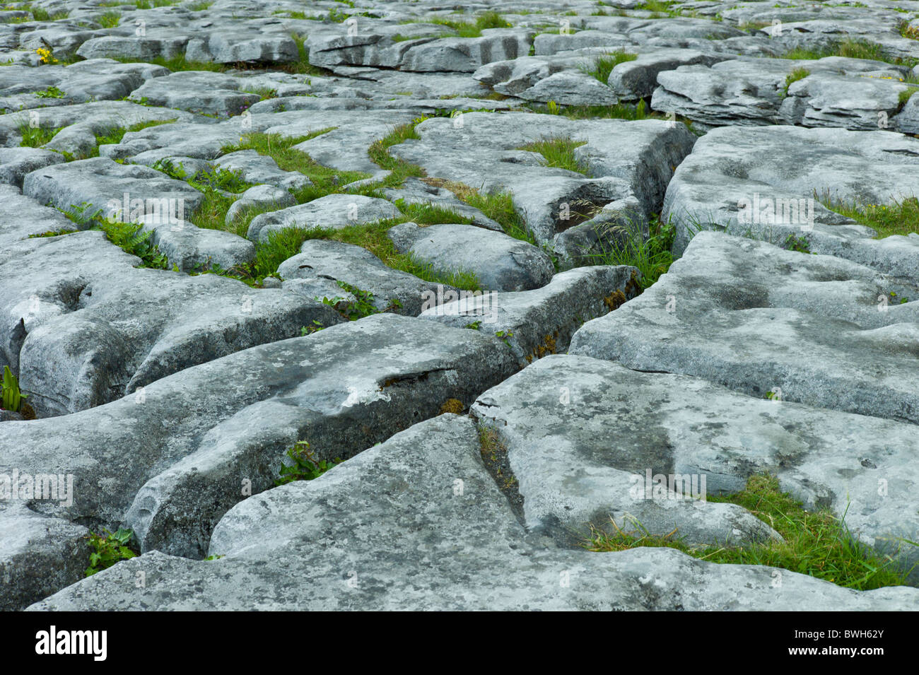 Pavimentazione calcaree ghiacciate paesaggio carsico in The Burren, County Clare, Irlanda Foto Stock