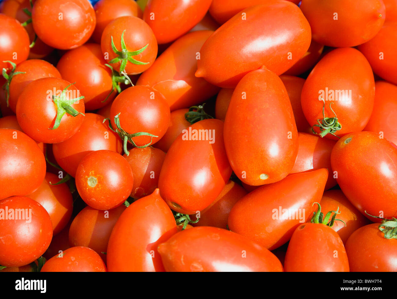 Agricoltura, frutta, pomodoro, con varietà miste di ripe organic pomodori rossi. Foto Stock