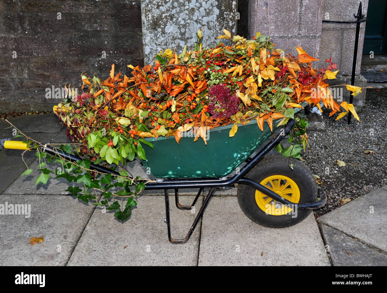 Una carriola verde pieno di autunnale di talee e foglie. Foto Stock