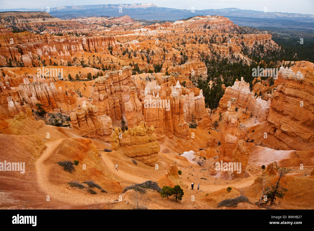 Gli escursionisti sul Queens Garden Trail, paesaggio roccioso con hoodoos, Parco Nazionale di Bryce Canyon, Utah, Stati Uniti d'America Foto Stock