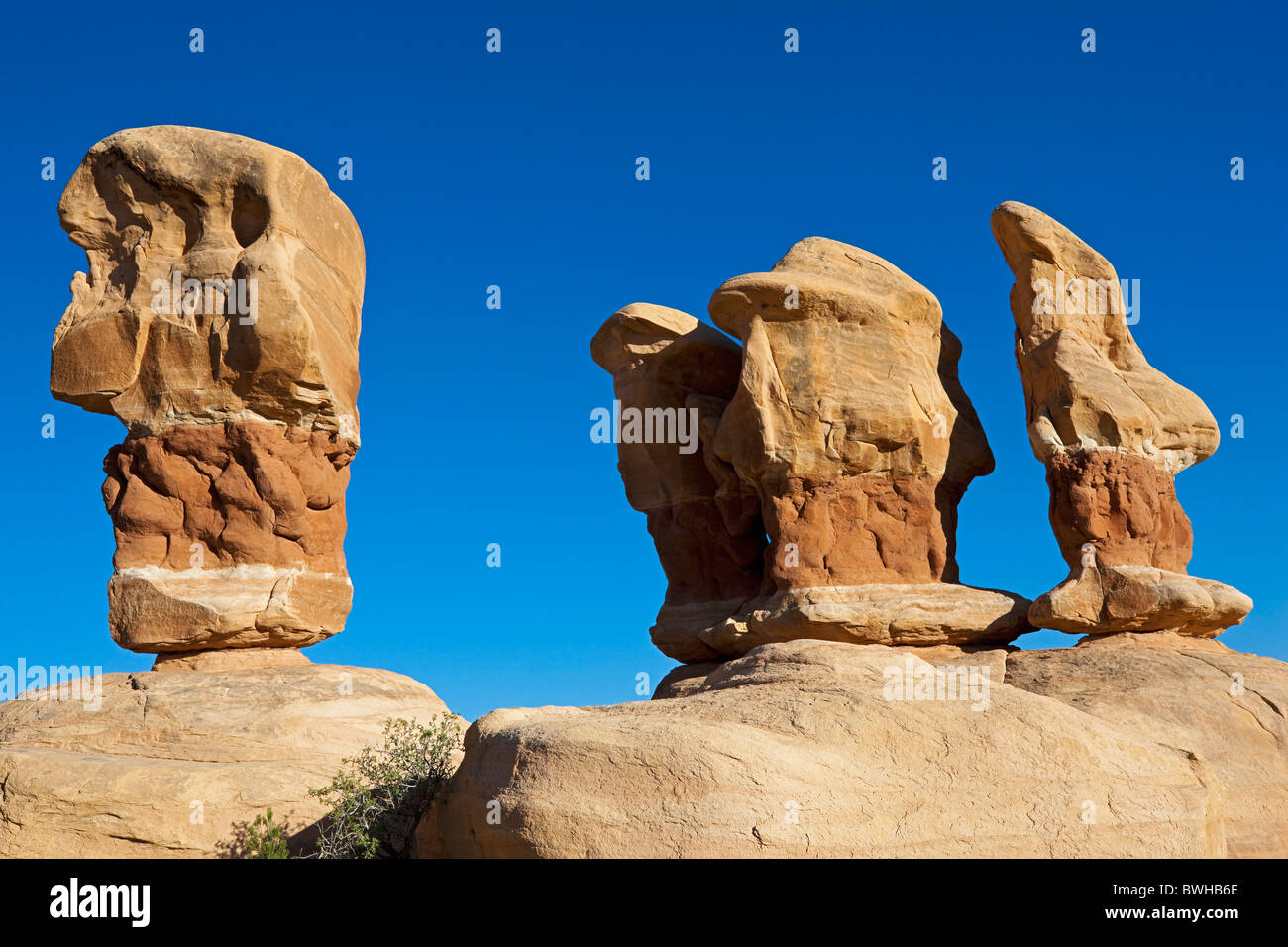 Formazioni di pietra nel giardino Devils, il foro nella roccia Road, il Grand Staircase-Escalante monumento nazionale, Utah, Stati Uniti d'America Foto Stock