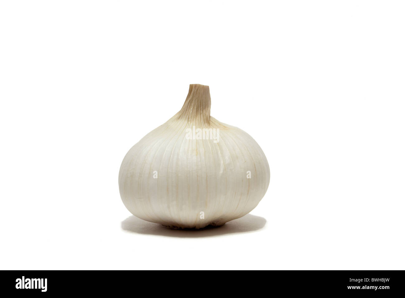 Aglio intero Foto Stock