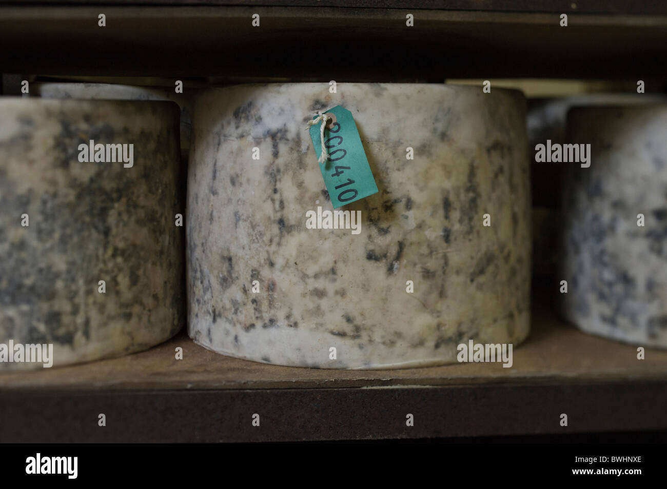 Grandi formaggi arrotonda la maturazione in una cantina a Quickes tradizionale fattoria di formaggio, Devon Foto Stock