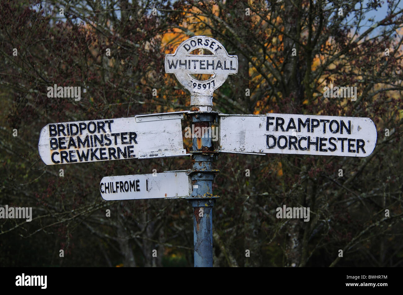 Dito post a Whitehall, Maiden Newton Dorset, Regno Unito Novembre 2010 Foto Stock