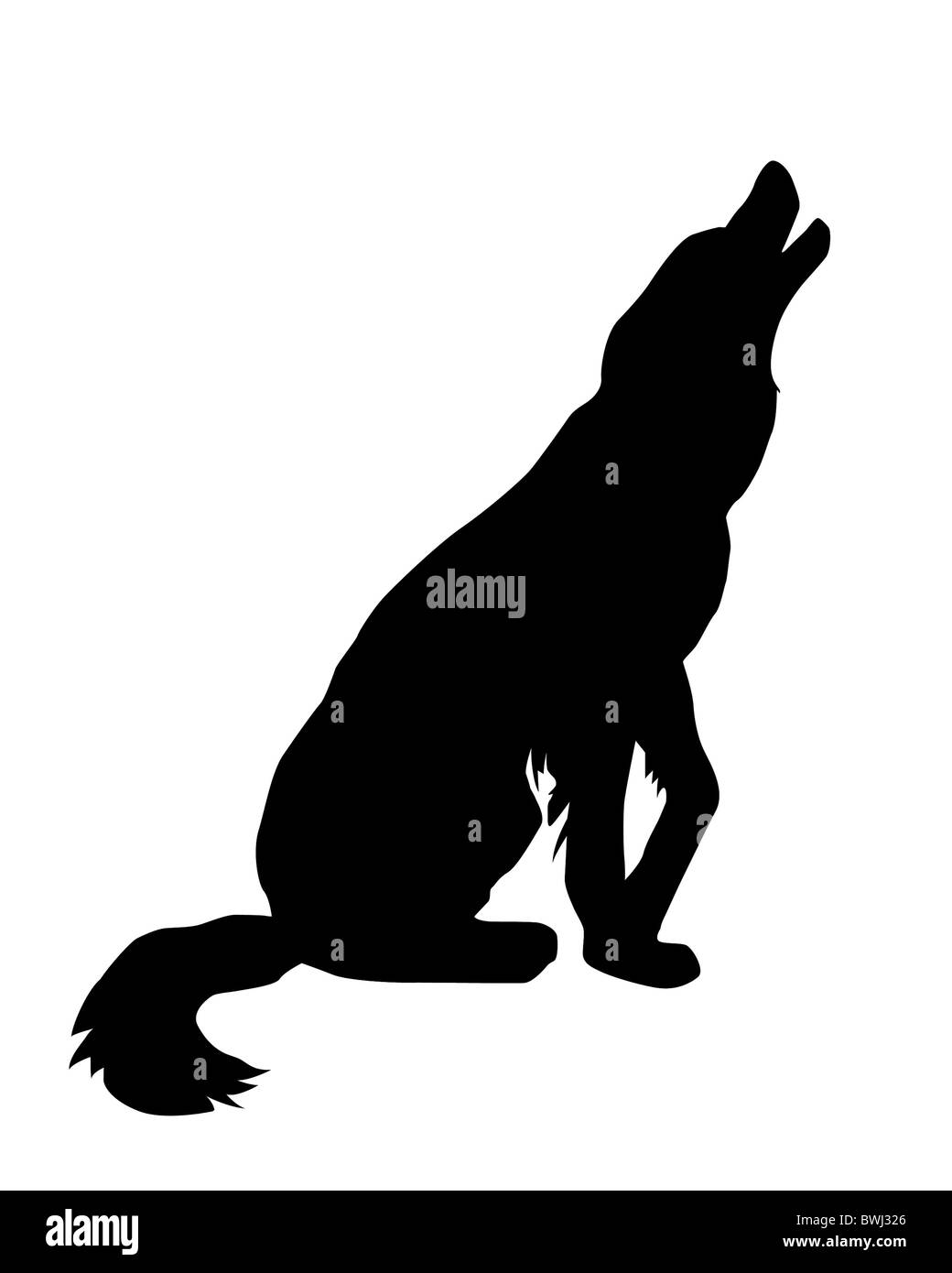 Illustrazione della rampicate cane su sfondo bianco Foto Stock