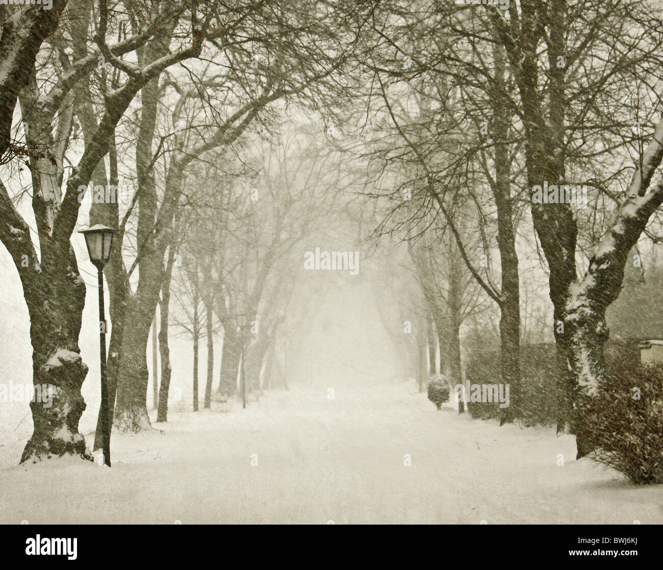 Inverno scape, vicolo pedonale con alberi e neve che cade verso il basso Foto Stock