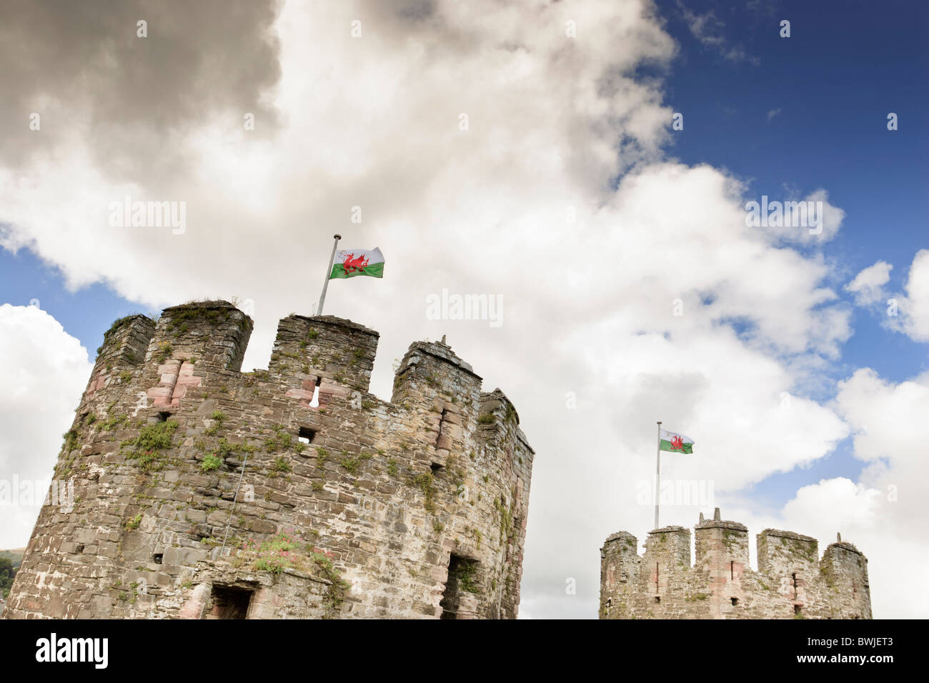 Flag di gallese sorvolare Conwy Castle Foto Stock