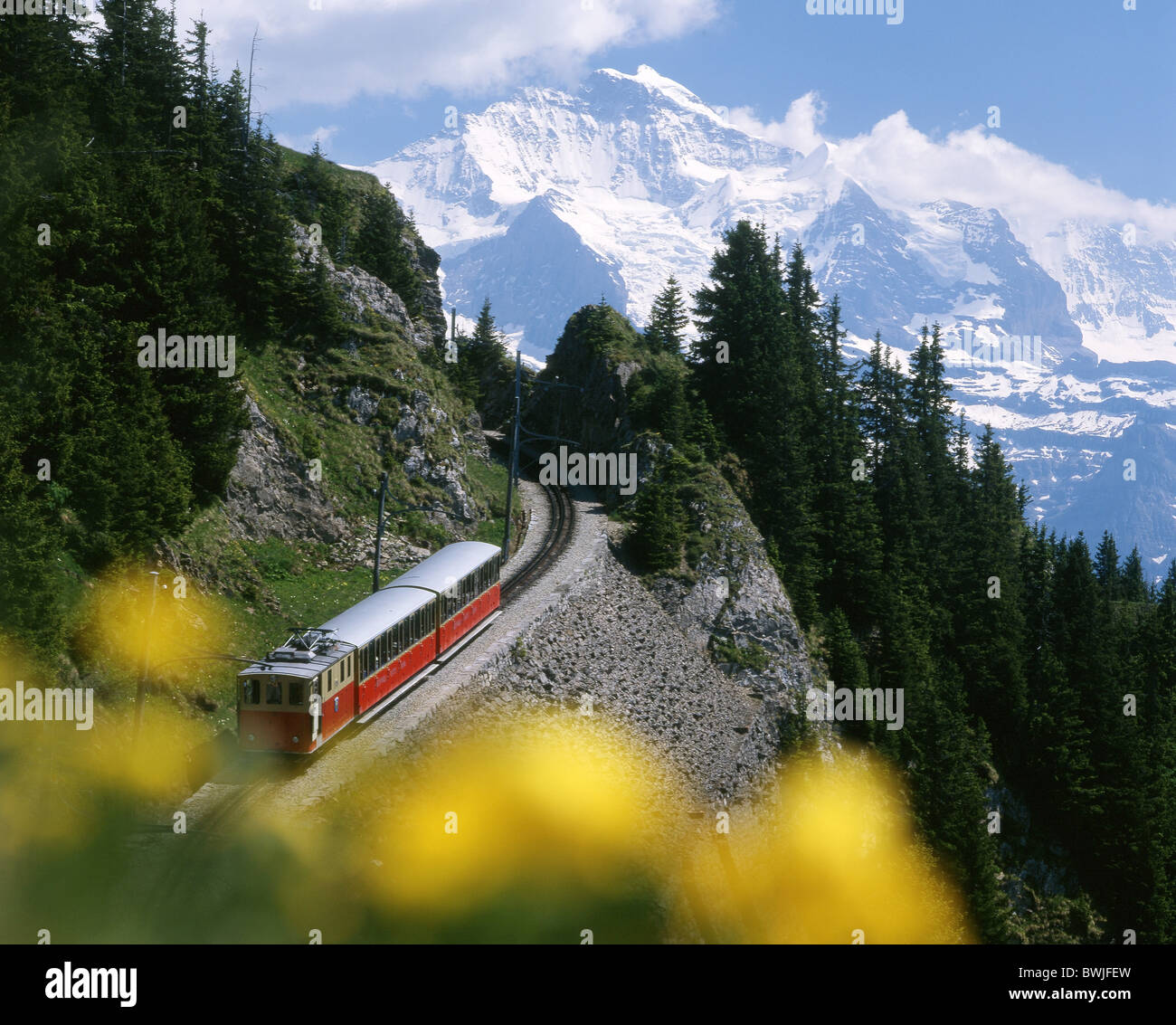Schynige Platte railroad SPB mountain strada strada ferrovia a cremagliera fiori Jungfrau montagne paesaggio delle Alpi Foto Stock