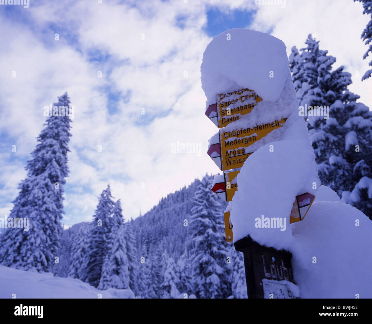 Snowbound signpost coperto di neve segni nevoso schede nevicata fresca neve sentiero invernale uomo saggio Schanfigg w Foto Stock