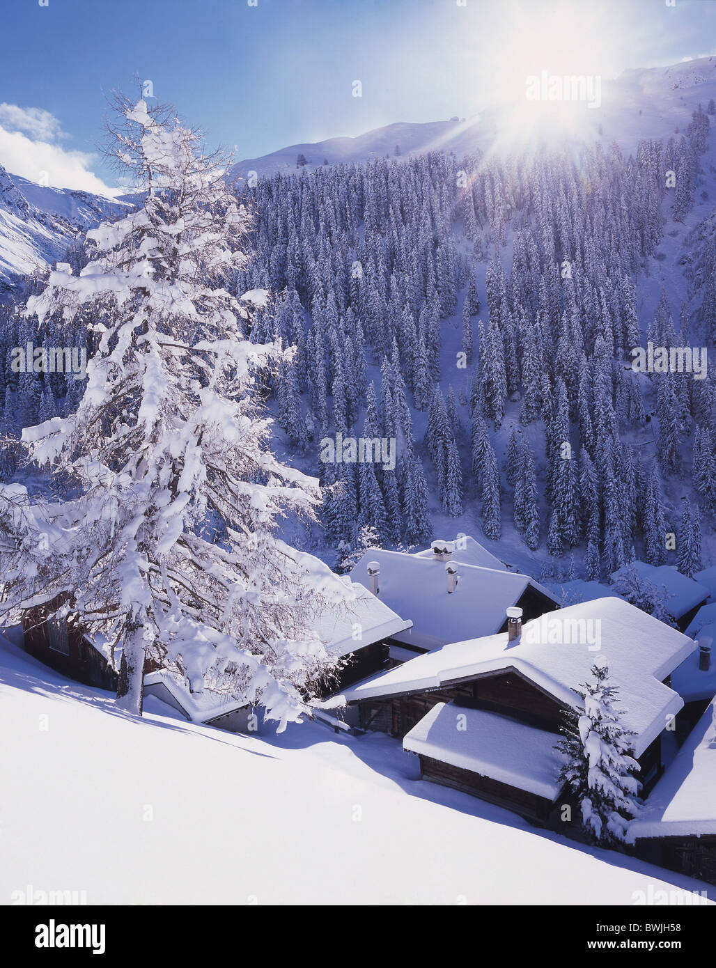 Schanfigg Sapun village snowbound coperto di neve e neve fresca neve nevicata sun legno foresta valle montagne Foto Stock