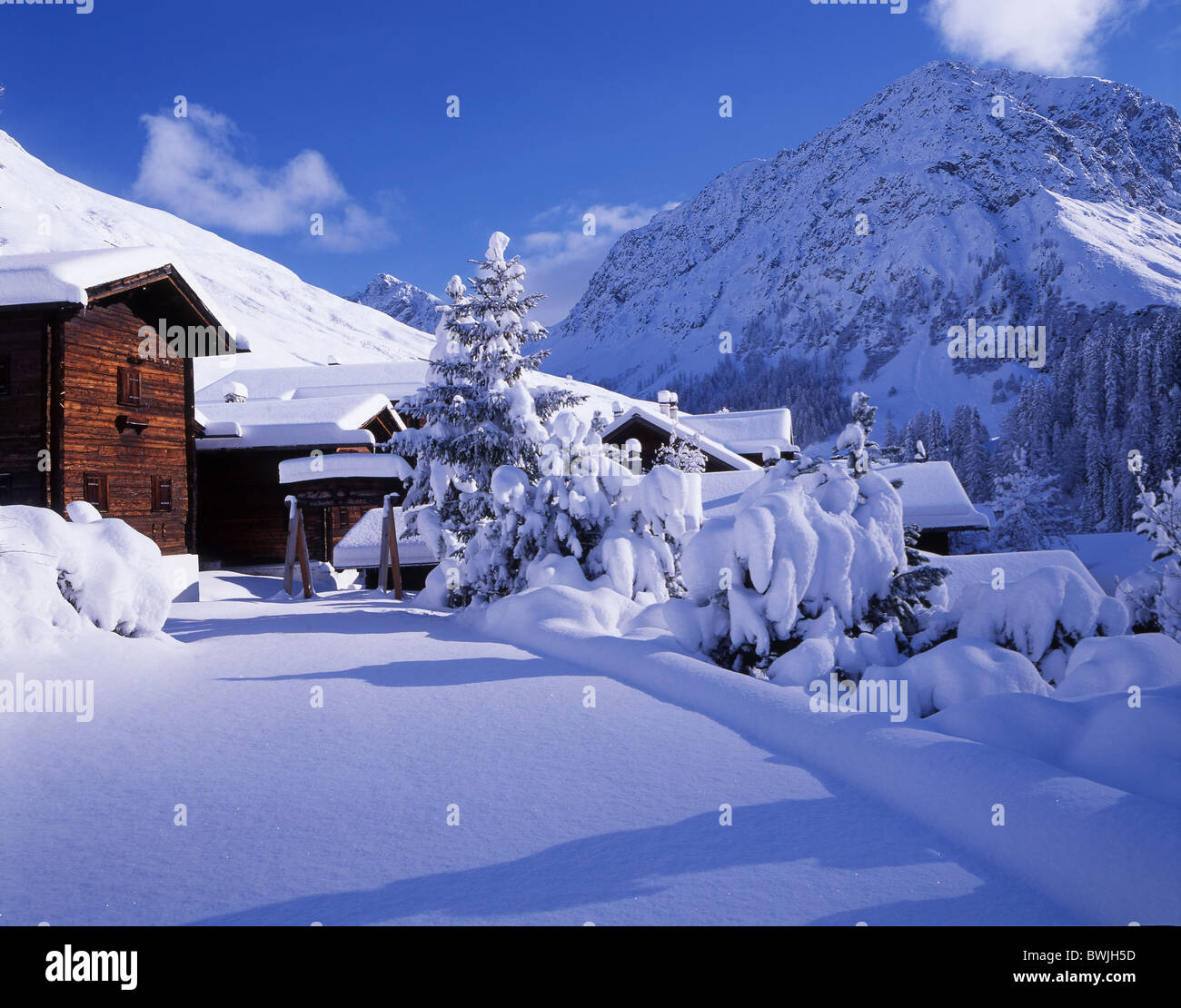Schanfigg Sapun village snowbound coperto di neve e neve fresca neve nevicata le case in legno chalet pineta Foto Stock