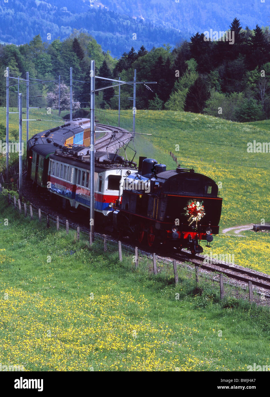 Treno a vapore treno Cupido Amor Toggenburg vapore Steam Railway Railway stazione ferrovia locomotiva a vapore s Foto Stock