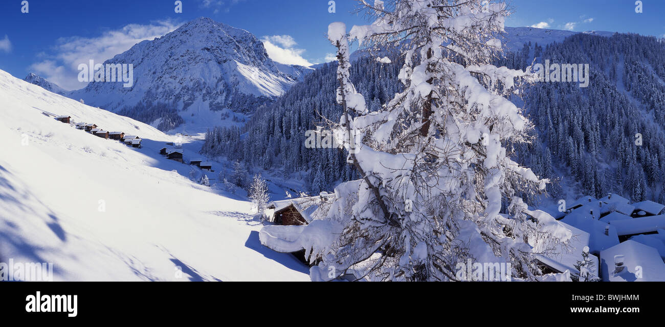 Schanfigg Sapun village snowbound coperto di neve e neve fresca neve nevicata legno foresta valle montagne delle Alpi Foto Stock