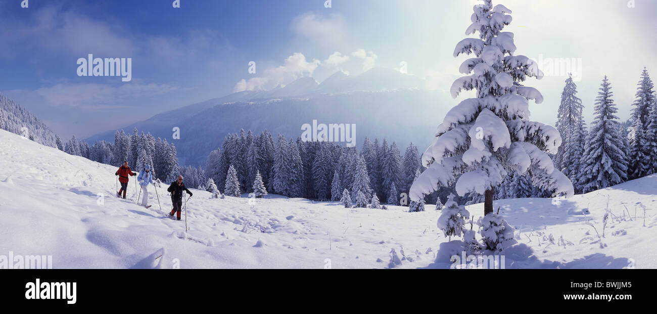 Gruppo d'inverno gli anziani Sport Tempo libero paesaggio paesaggio coperto di neve snowbound nevoso foresta legno 'conifer Foto Stock