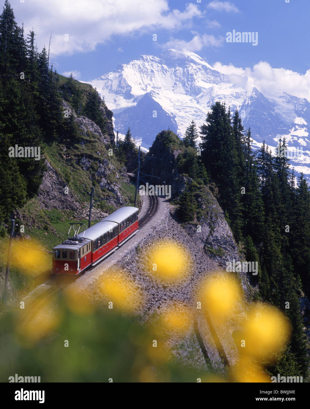 Schynige Platte strada SPB mountain strada strada ferrovia a cremagliera fiori Jungfrau montagne paesaggio delle Alpi la Foto Stock