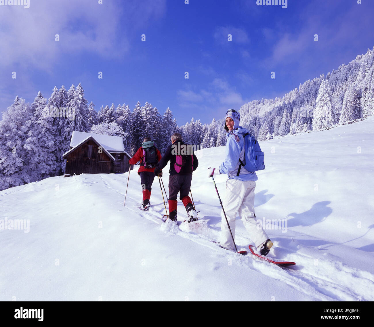 Gruppo d'Inverno Sport Tempo libero paesaggio paesaggio coperto di neve snowbound nevoso foresta di legno di foresta di conifere Foto Stock