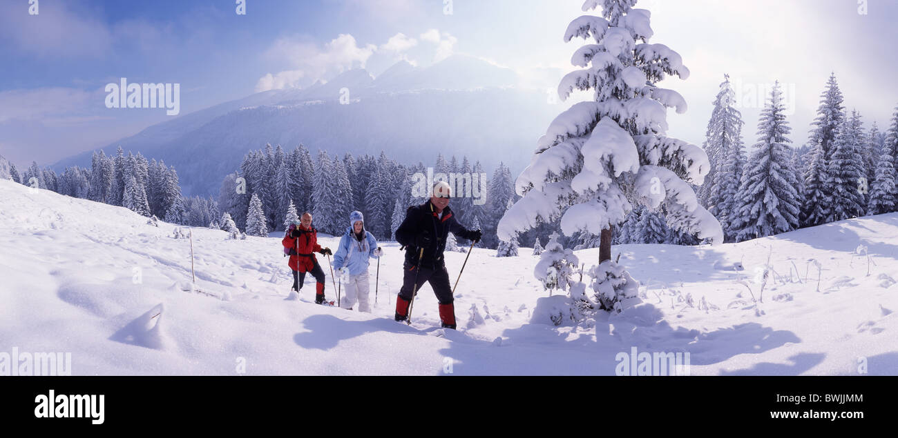 Gruppo d'inverno gli anziani Sport Tempo libero paesaggio paesaggio coperto di neve snowbound nevoso foresta legno 'conifer Foto Stock