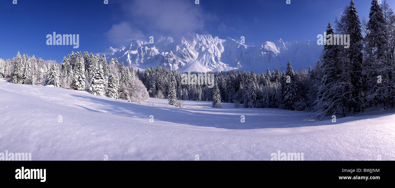 Paesaggio invernale paesaggio invernale paesaggio di montagna delle Alpi Alpstein la foresta di conifere della foresta di legno coperta di neve Foto Stock