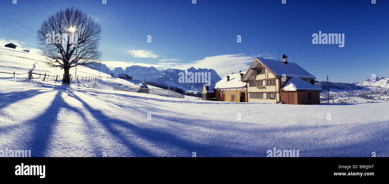 Paesaggio invernale paesaggio invernale paesaggio casa colonica Appenzellerhaus tree farm sun montagne delle Alpi Foto Stock