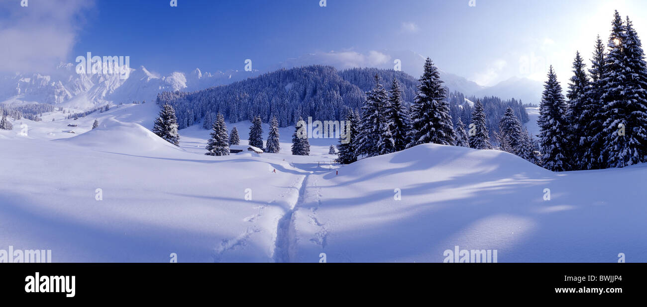 Paesaggio invernale paesaggio paesaggio traccia traccia montagne invernali Alpi Alpstein la foresta di conifere Legno forest s Foto Stock