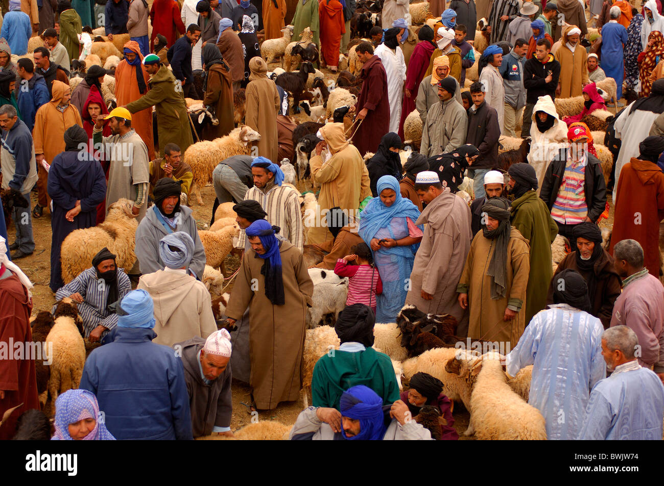 Persona di mercato capre, bovini ovini Goulmima Marocco Africa Africa del Nord Foto Stock