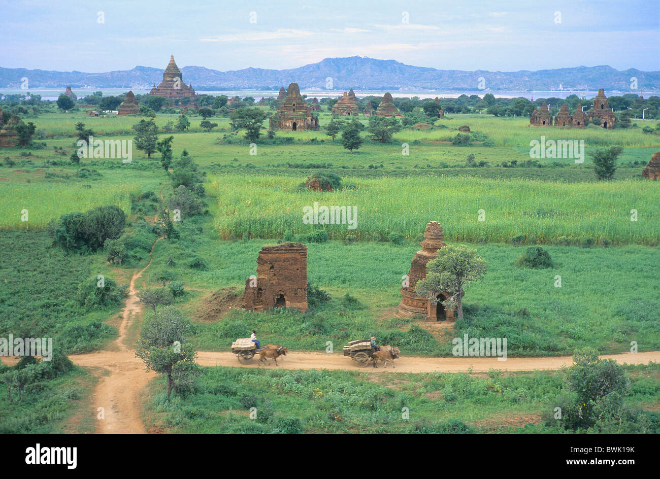 Asia Birmania Myanmar Bagan paesaggio ox-cart pagoda rovine di trasporto Shwesandaw Pagoda Foto Stock