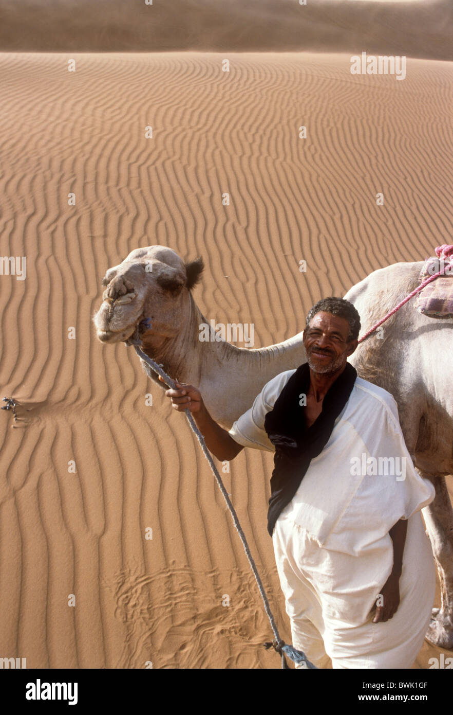Berber Tribesman portando il suo cammello nel deserto del Sahara, Merzouga, Marocco, Africa del Nord Foto Stock