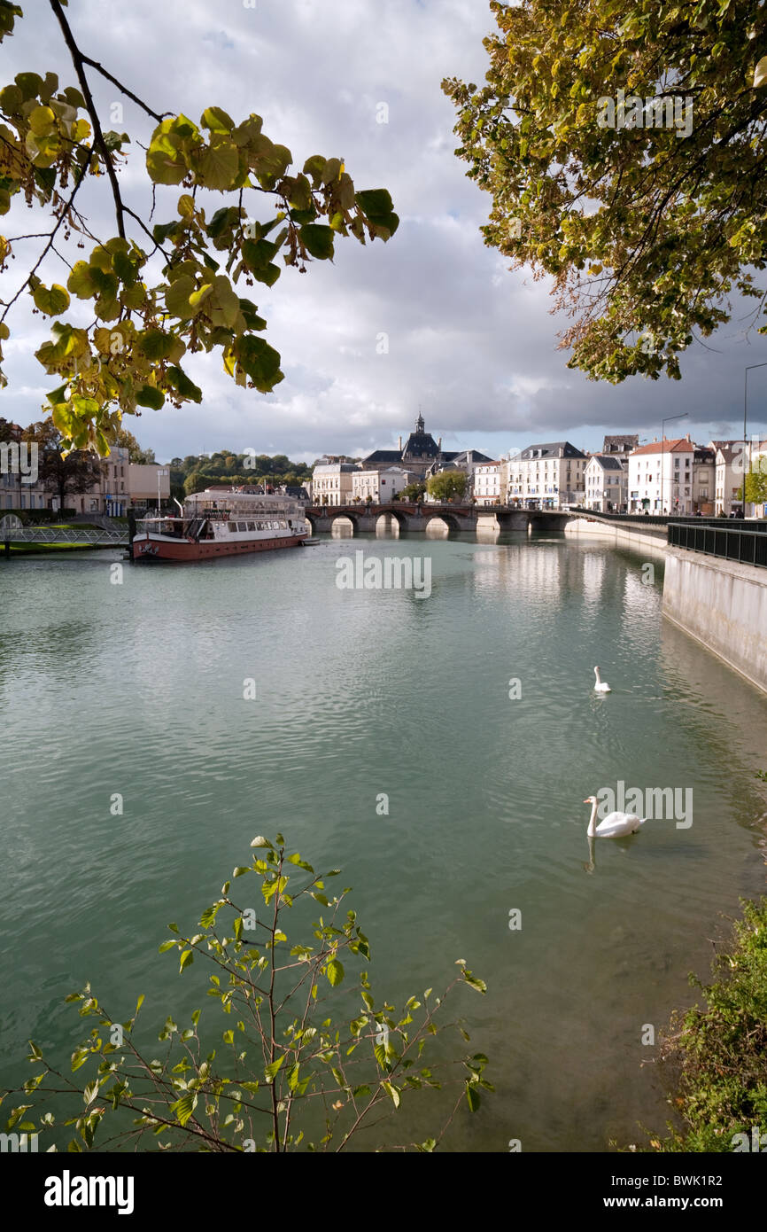 Cigni sul fiume Marne a Meaux, Ile de France Francia settentrionale Foto Stock