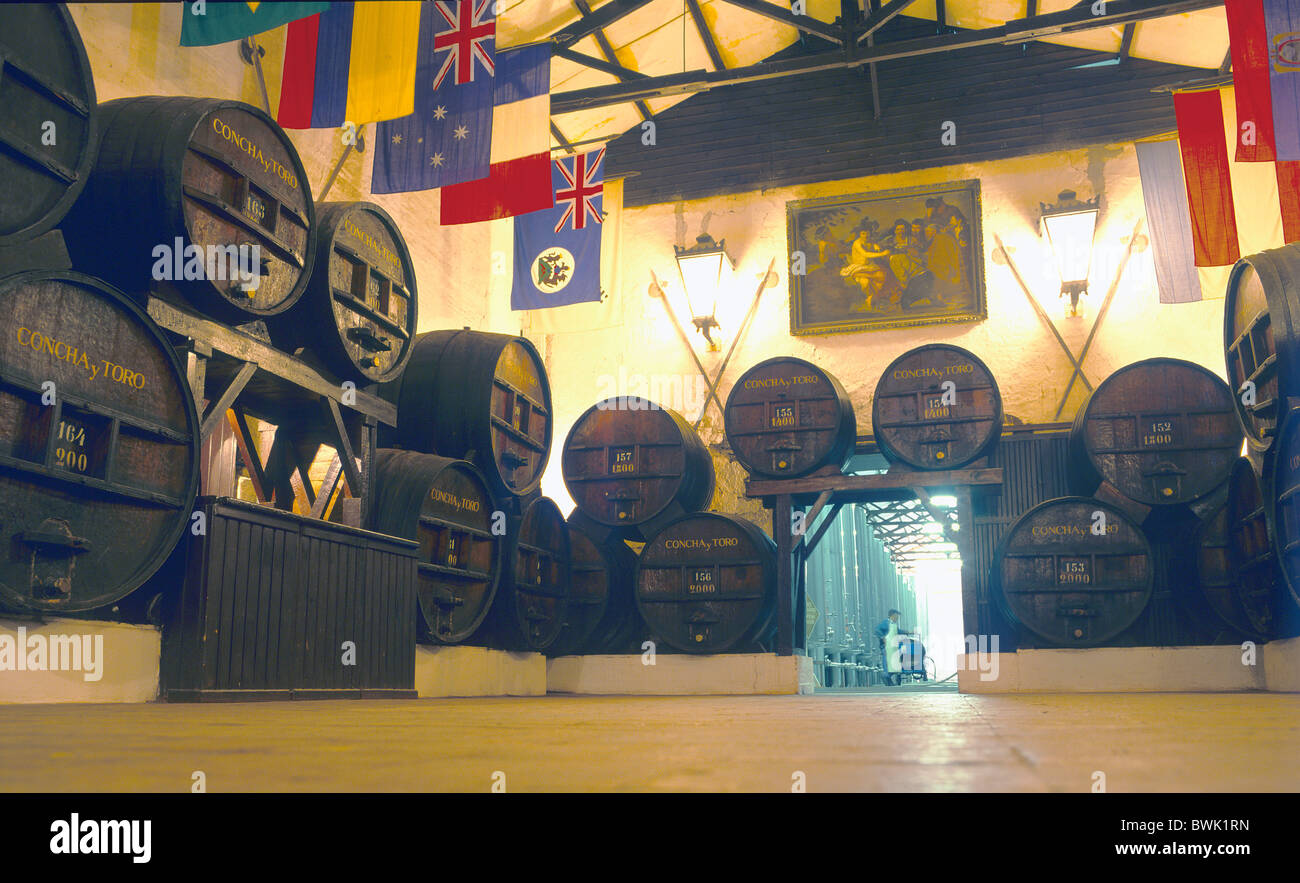 Il Cile del sud America Santiago canna vinology vino Concha y Toro vigneti Foto Stock