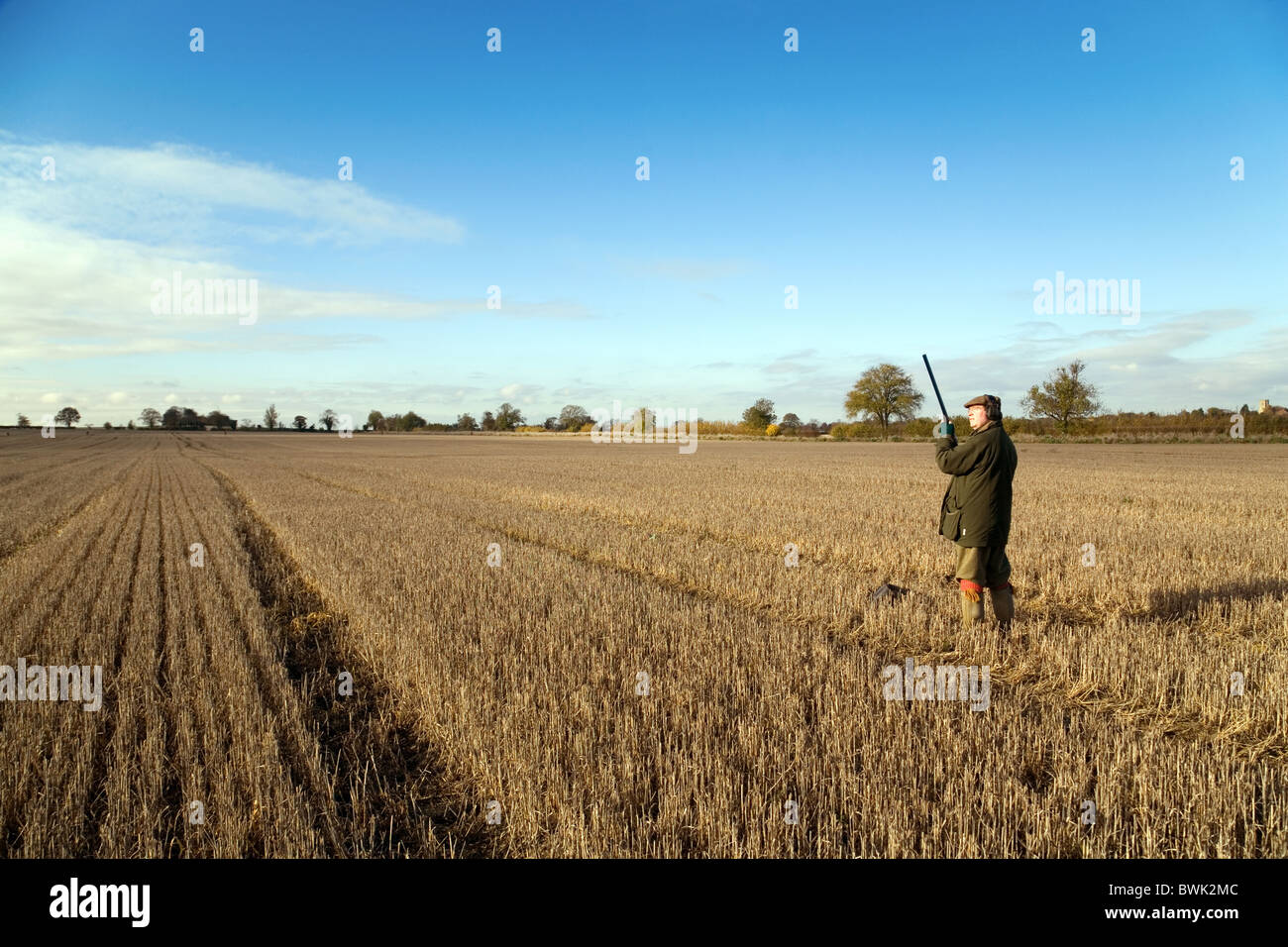 Un sparatutto (pistola) in attesa della selvaggina di salita su una ripresa, Cambridgeshire, Regno Unito Foto Stock