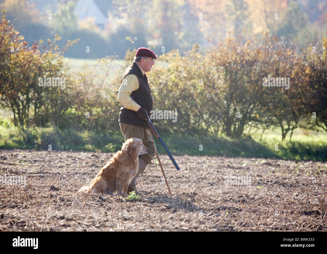 Un sparatutto (pistola) e il suo gundog attesa per la selvaggina di penna a salire su una ripresa in Cambridgeshire Regno Unito Foto Stock