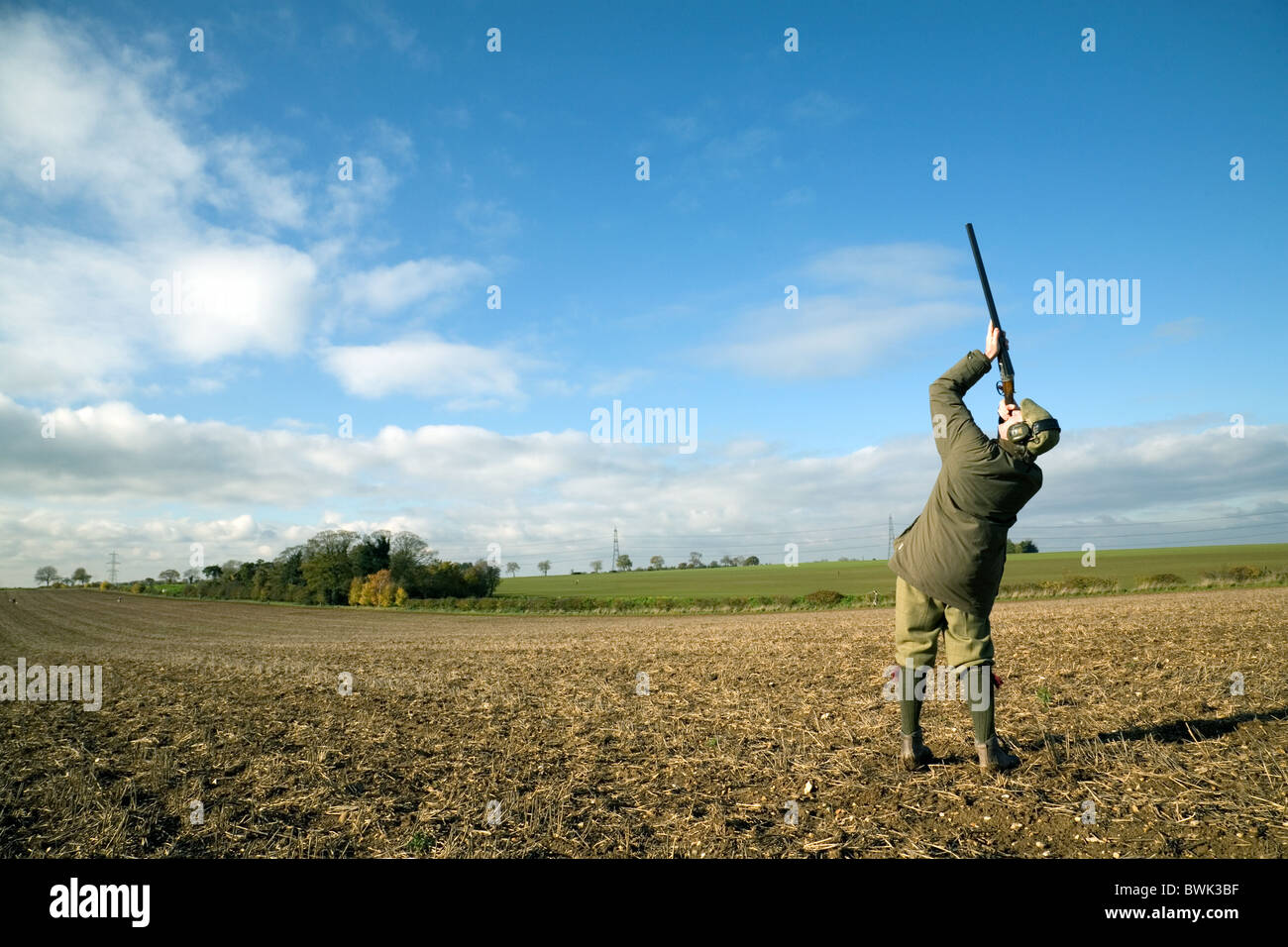 Un sparatutto (pistola) le riprese di un uccello di gioco su un tiro, Cambridgeshire, Regno Unito Foto Stock