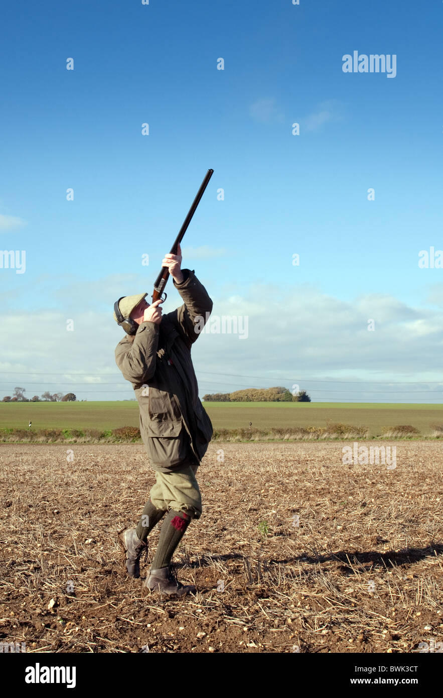 Un sparatutto (pistola) ripresa a un gioco bird salita su uno scivolo, Cambridgeshire, Regno Unito Foto Stock