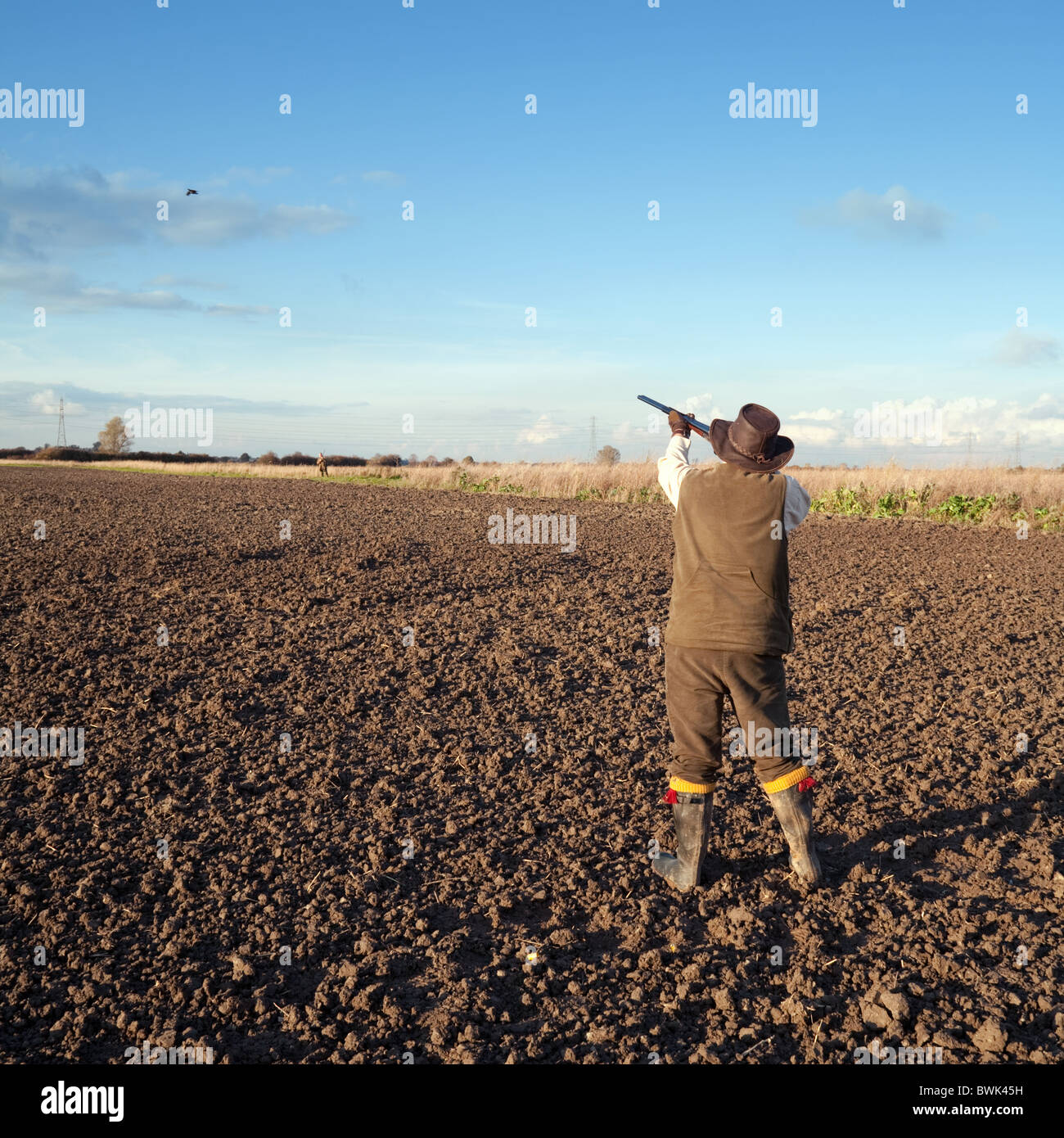 Un sparatutto (pistola) ripresa a un gioco bird salita su uno scivolo, Cambridgeshire, Regno Unito Foto Stock