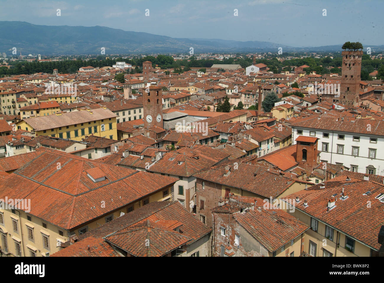 Italia Europa Toscana Toscana Lucca città panoramica sui tetti della città vecchia Foto Stock