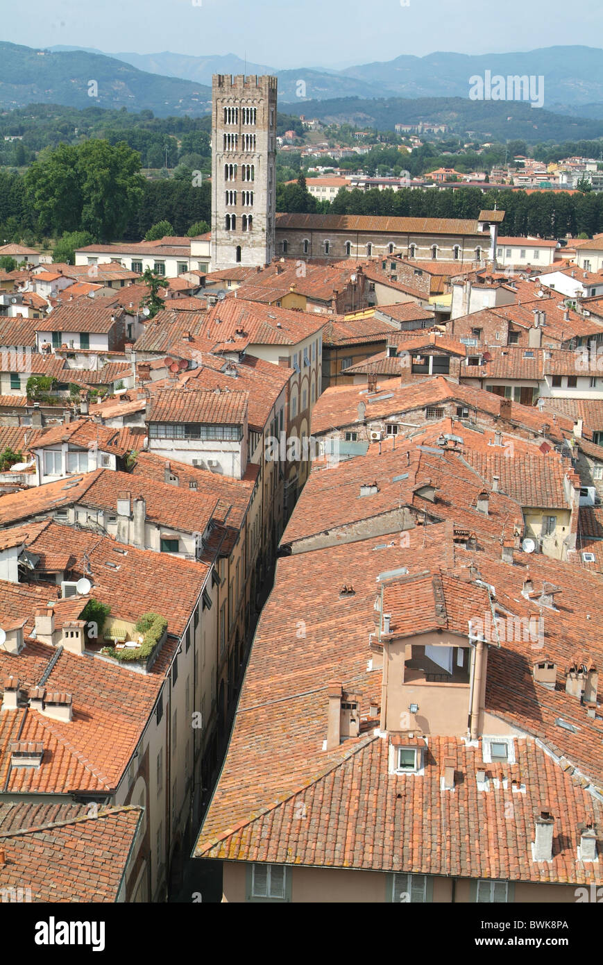 Italia Europa Toscana Toscana Lucca città panoramica sui tetti della città vecchia Foto Stock