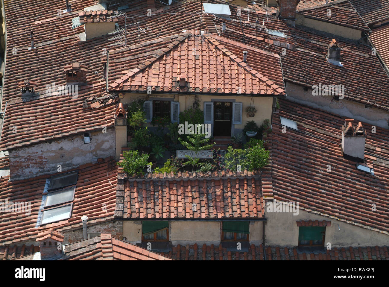 Balcone oasi verde terrazza sul tetto terrazza vivente casa Italia Europa Toscana Toscana Lucca città panoramica O Foto Stock