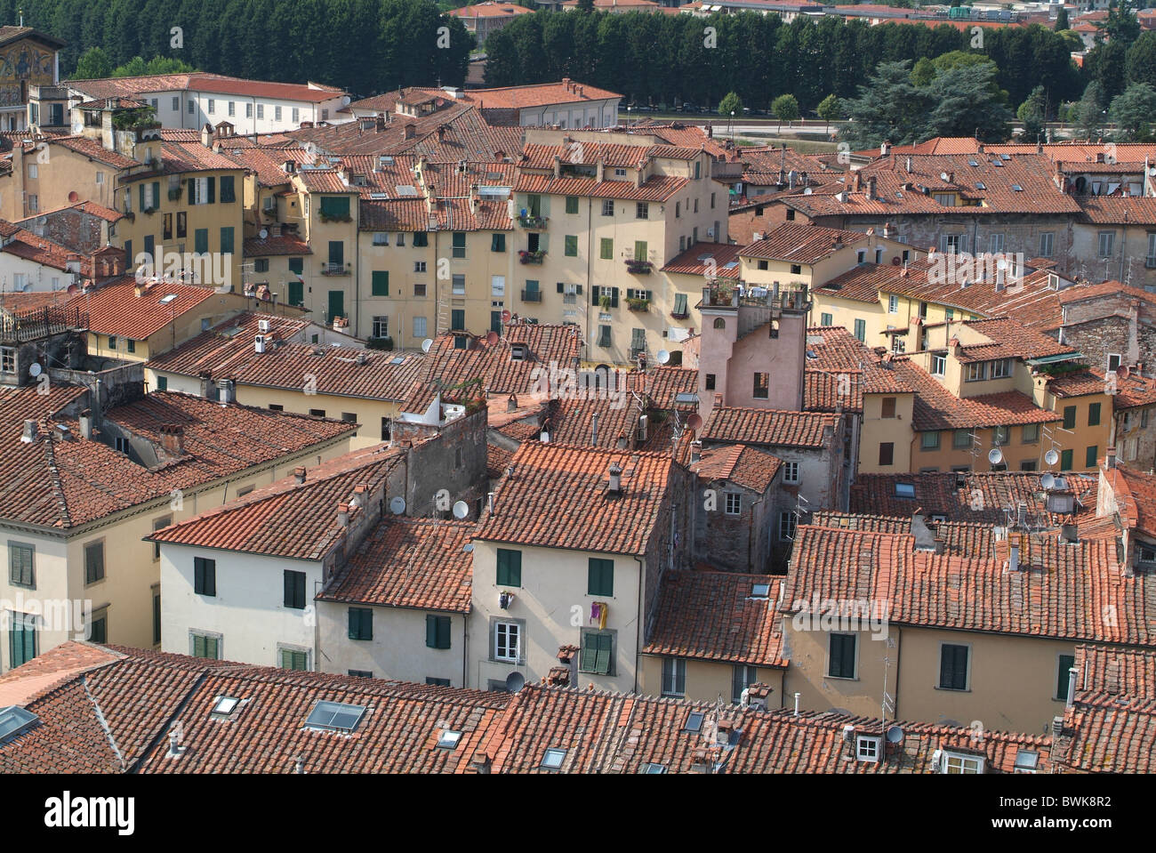 Italia Europa Toscana Toscana Lucca Piazza di dell' Anfiteatro città panoramica sui tetti della città vecchia Foto Stock