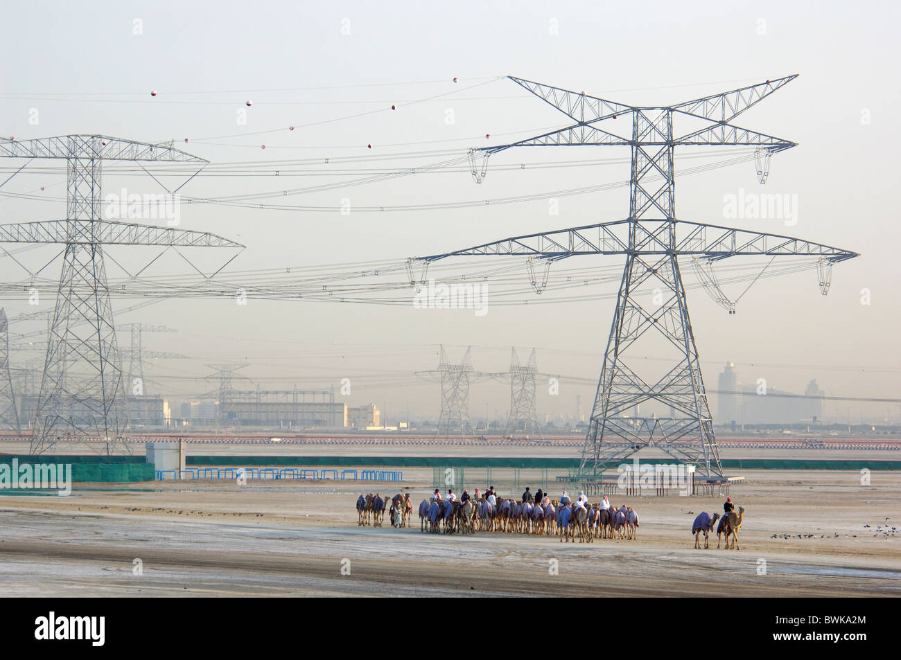 Linee di oleodotti Hochspannungsleitungen camel l'esecuzione di cammelli cammello gare sportive di concorrenza camel spo Foto Stock