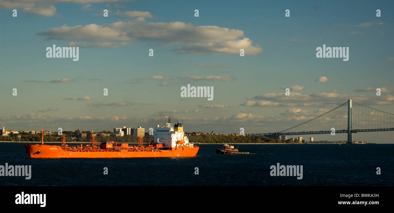 Panorama Verrazano-Narrows sospensione ponte ponte ponte freighter spedizioniere nave mare New York Foto Stock
