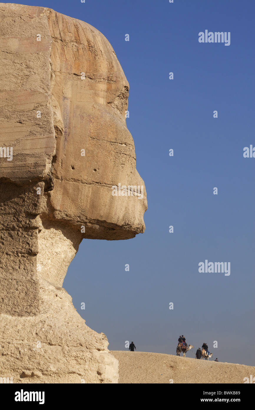 Sphinx nella luce del sole, Giza, Cairo, Egitto, Africa Foto Stock