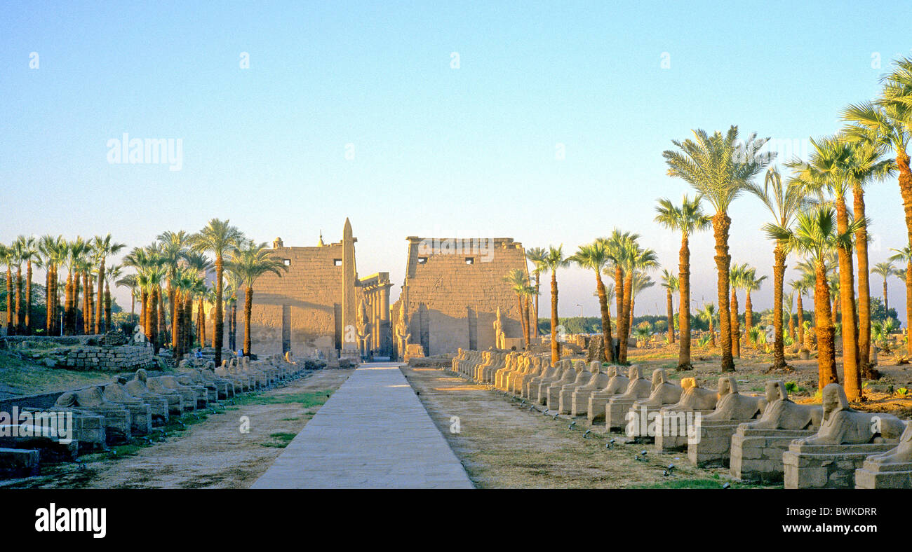 Egitto Africa del nord del tempio di Luxor tempio storico di costruzione sito culturale Antichità Antiquariato aviano egiziano Foto Stock