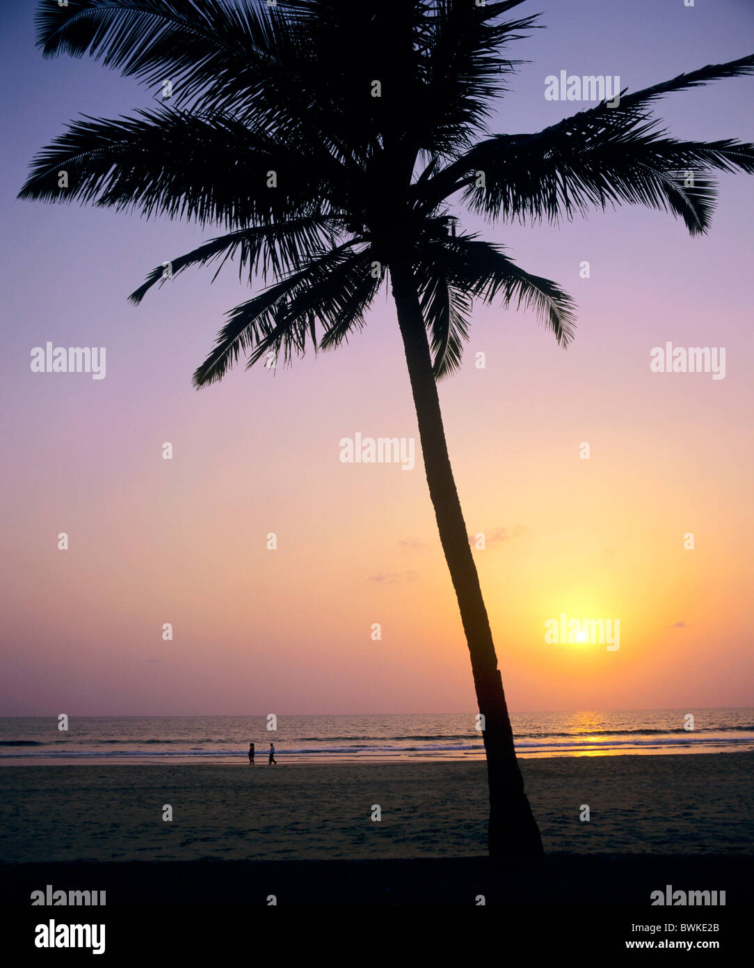 India Goa Cavelossim Mobor Beach palm silhouette tramonto umore crepuscolo crepuscolo mare spiaggia mare san Foto Stock